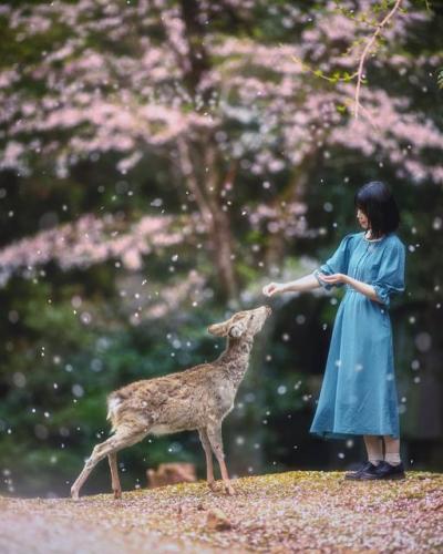 174805923_3678958555547408_2935465484808502451_n