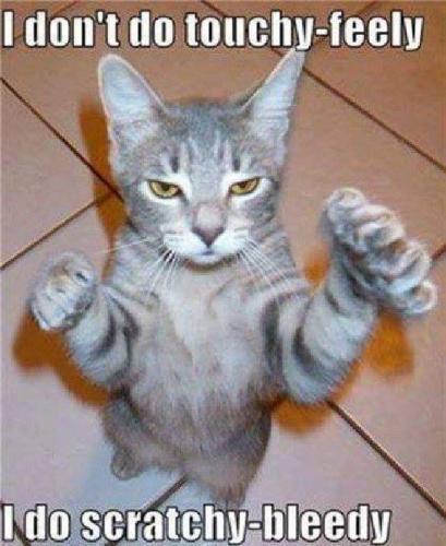 17:18:34 GMT-0400 (EDT)