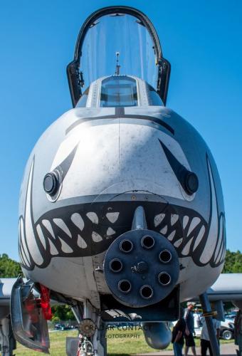 180148152_1390197008002598_8902559155881914079_n