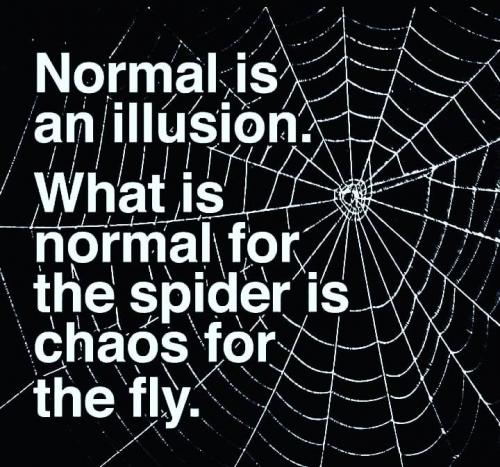 78866905_2875455165844943_213713166012514304_n