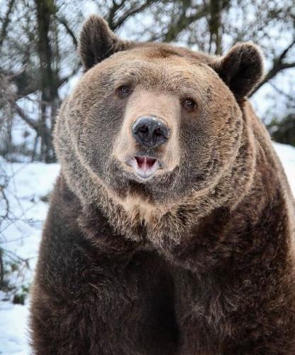 173263171_1845402732292597_2260510187169277800_n