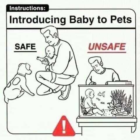 18:59:03 GMT-0700 (PDT)