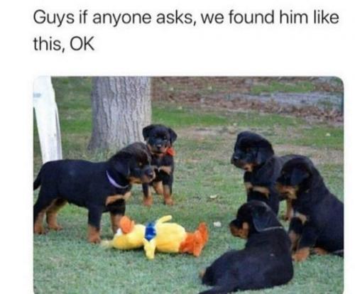 19:43:27 GMT-0500 (CDT)