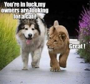 17:33:13 GMT-0700 (PDT)