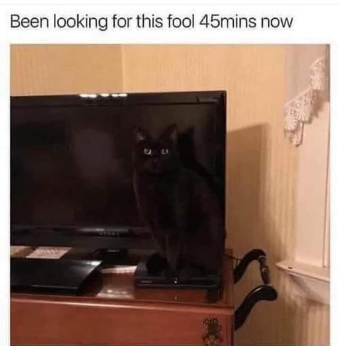 17:32:00 GMT-0400 (EDT)