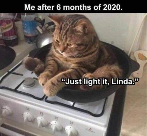 116430926_1650006941813877_3841952023180022081_n