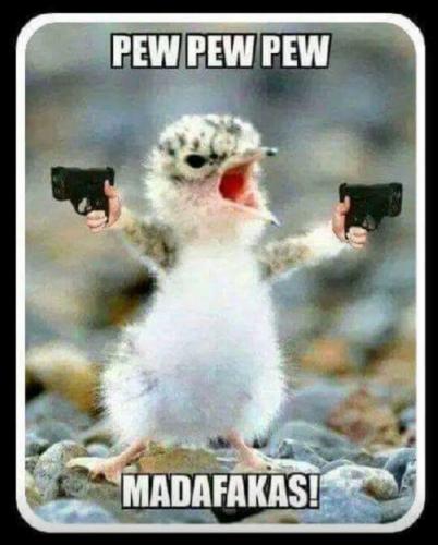 22:11:23 GMT-0700 (PDT)