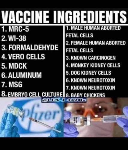 12:23:35 GMT-0500 (CDT)