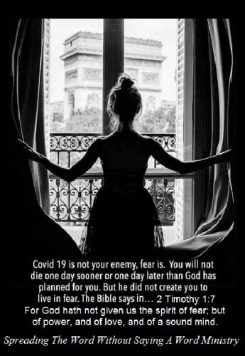 133734731_10160424436878572_3781931529047623551_n