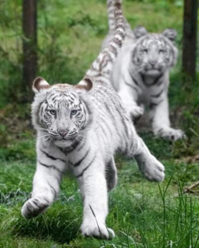 18:48:14 GMT-0500 (CDT)