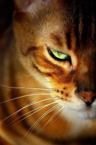 22:56:40 GMT-0500 (CDT)