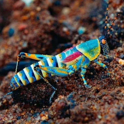 176558834_1852540864912117_3261260243215235909_n