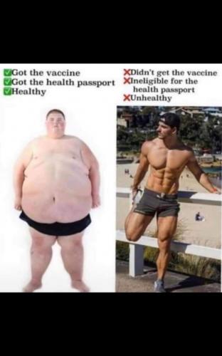 Screenshot_20210406-192941_WhatsApp