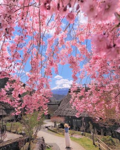 180329135_310780130417996_1826980825789669818_n