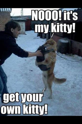 1524662_1383802901842097_1711729797_n