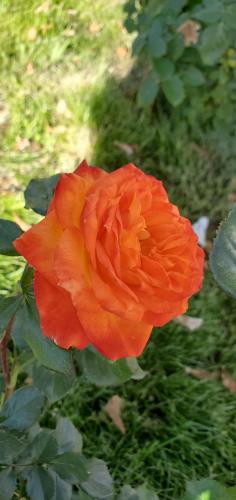 17:54:52 GMT-0700 (PDT)