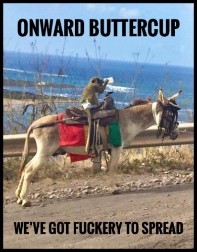 tumblr_7585fc5681550e8b4ff19628dfb49959_ad6d8a70_540