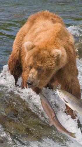 tumblr_cf57ed4a78b23dee366088e79fed0296_2190fe60_640