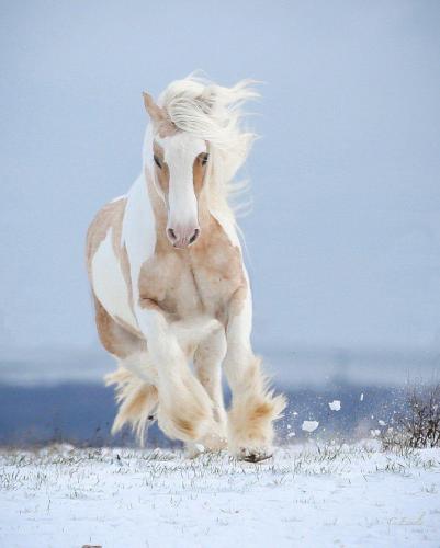 170823431_1549703261895685_1912622354897612285_n