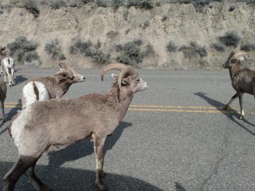 IMG_20210403_152709694