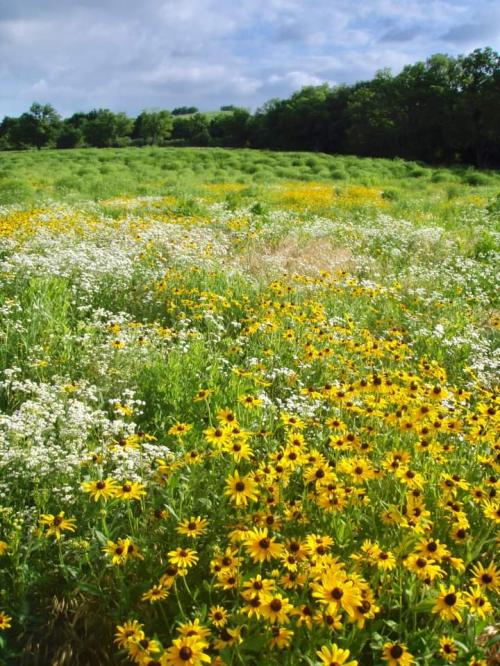 13:22:21 GMT-0500 (CDT)