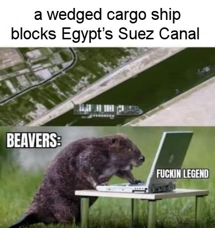 suez canal00