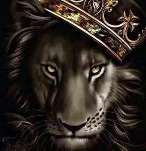 39066531_672705936433389_8705583694615674880_o