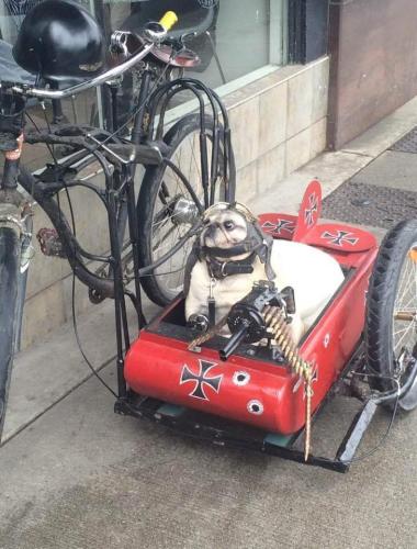 19:58:00 GMT-0500 (CDT)