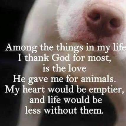 15:12:50 GMT-0500 (CDT)