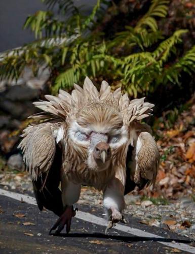 170421029_10219133391673193_3444436774772978775_n