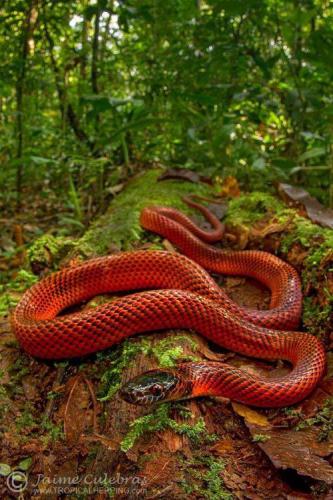 13537540_10204883049596193_8791465740437184675_n