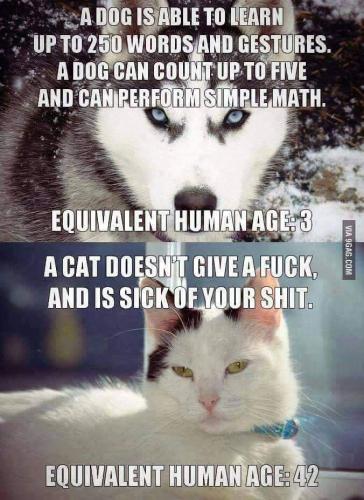 12:58:10 GMT-0400 (EDT)