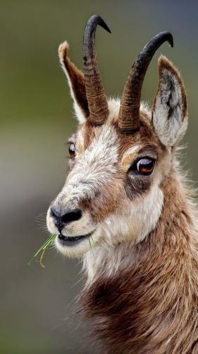 tumblr_430a825da6b06def52bd371fd37e2c72_93f81311_640