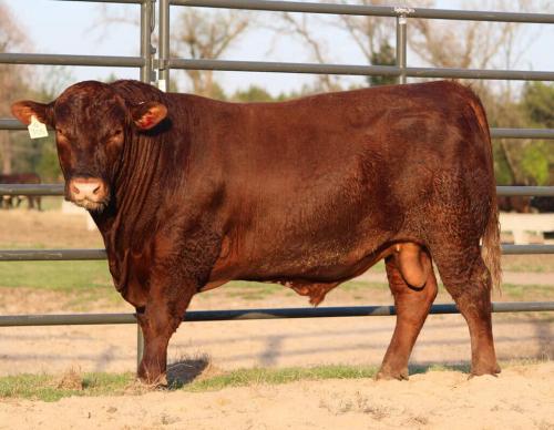 169471508_474800840531875_2397856429939874900_n