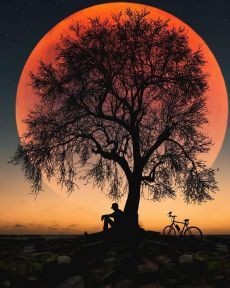 20:44:10 GMT-0500 (CDT)