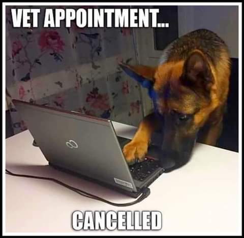 16:50:19 GMT-0700 (PDT)