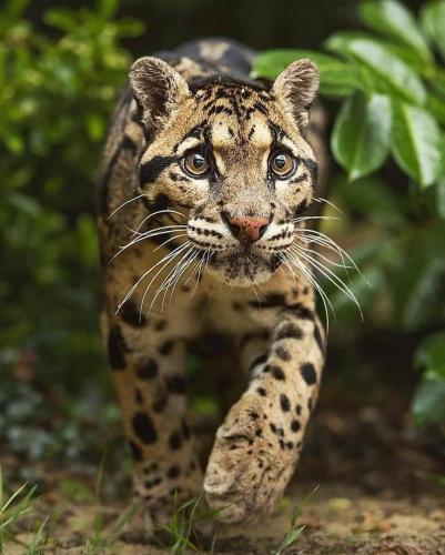 169192230_1838628999636637_8074169770089547873_n