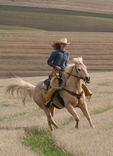 93358ba128ac9b9f5de8136948001f47