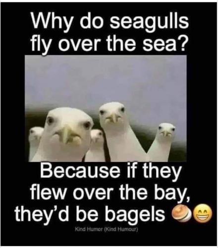 20:11:21 GMT-0400 (EDT)