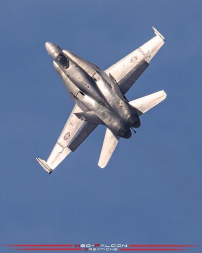 168277778_3983735118350244_361843043222429341_n