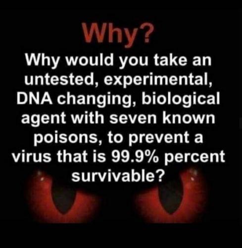 Screenshot_20210331-195829_clouthub