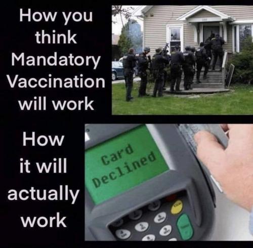 3D181343-3D7D-4726-8638-C2B0A5222F03