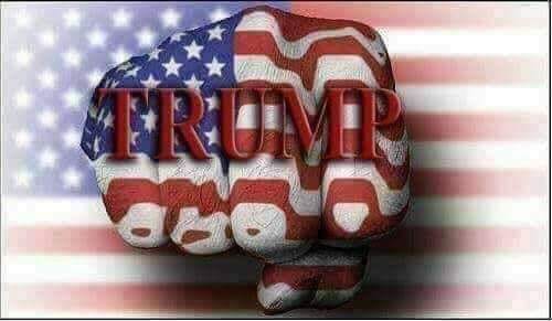 100476804_283681049688297_3005813972839432192_n