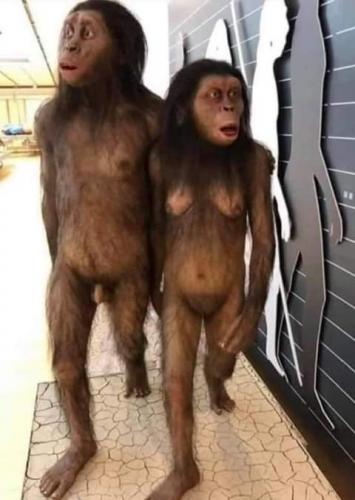 14:33:47 GMT-0700 (PDT)