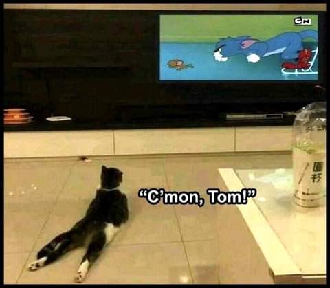 13:53:50 GMT-0700 (PDT)