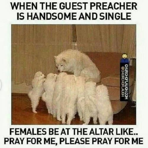 7E7705D7-D1C0-44F2-ACB4-D576500E2140