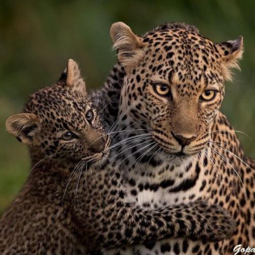 tumblr_a803c1ea06b01a1af763b321cf62e874_aaa49da6_540