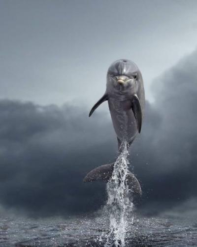 176434857_1853746534791550_6446648751339813544_n