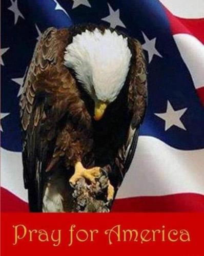 11:23:35 GMT-0400 (EDT)