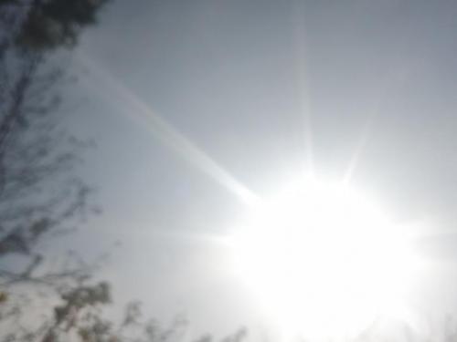 IMG_20201110_111509 (2)